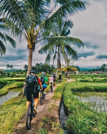 Bali Cycling